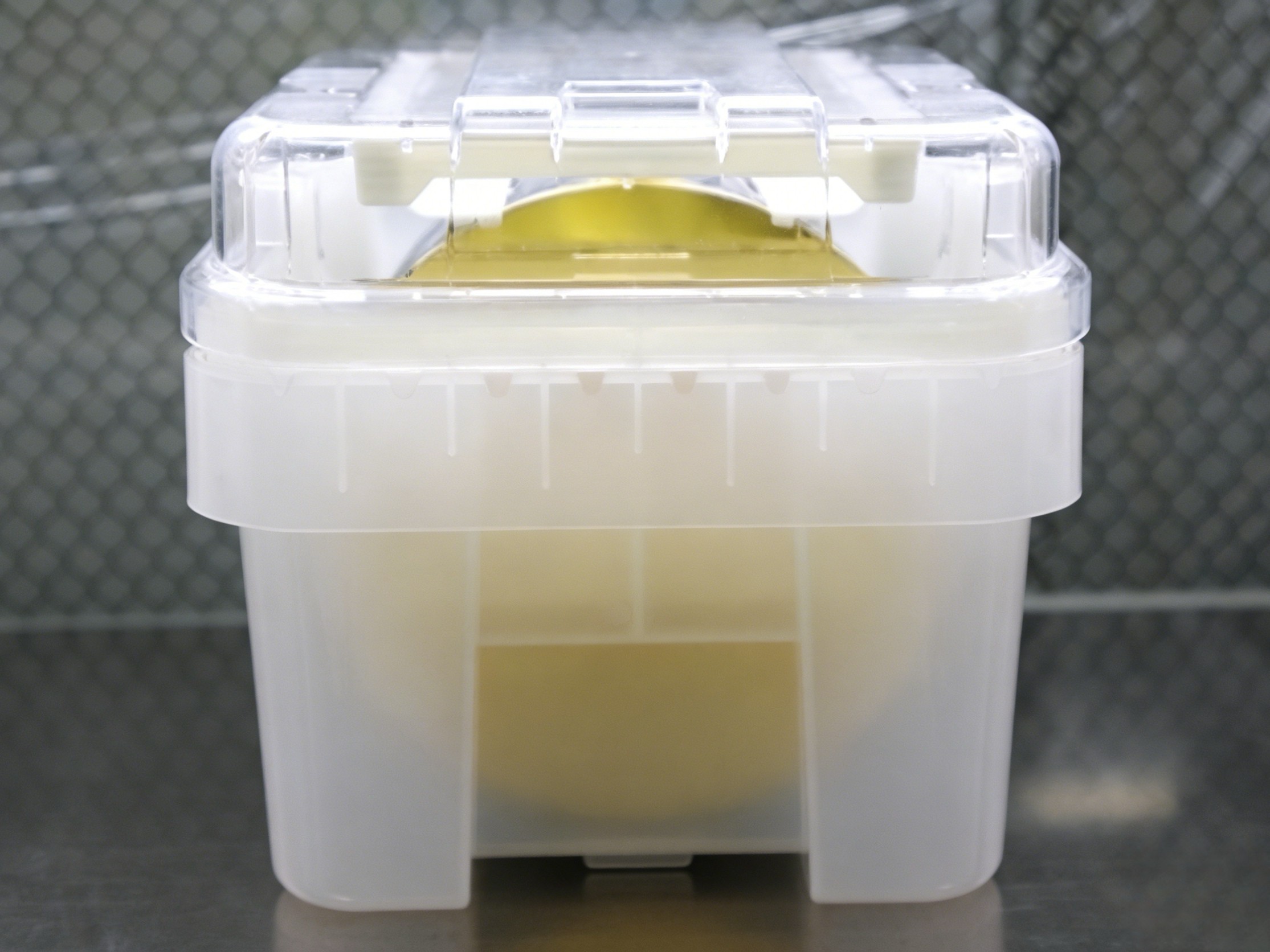 镀膜硅片 Film Wafer