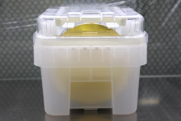 金属膜层硅片：Metal Film Silicon Wafe